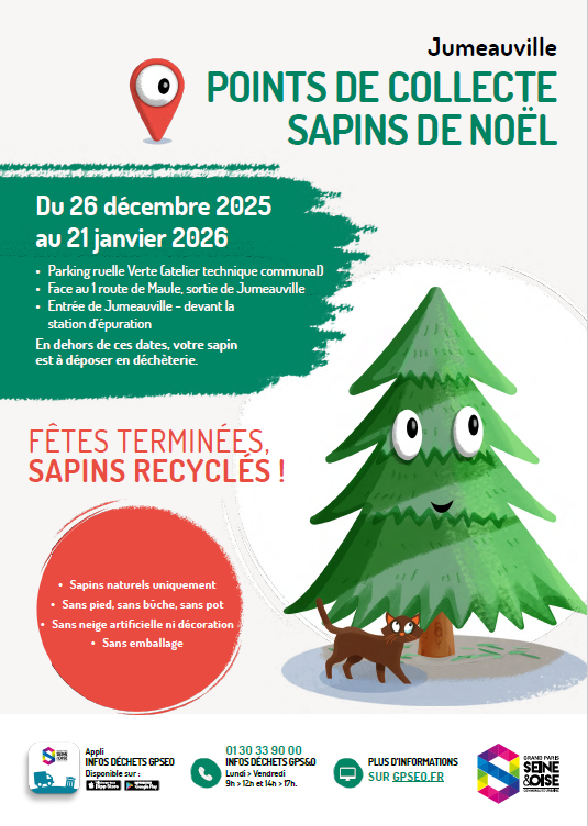 sapins2025.png